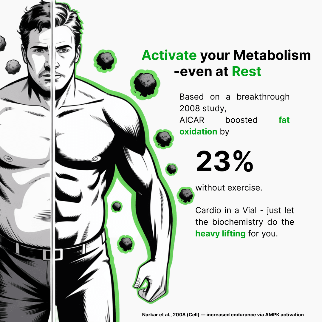 AICAR - additional thumbnail 3