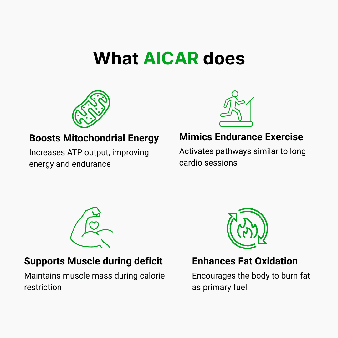 AICAR - additional thumbnail 4