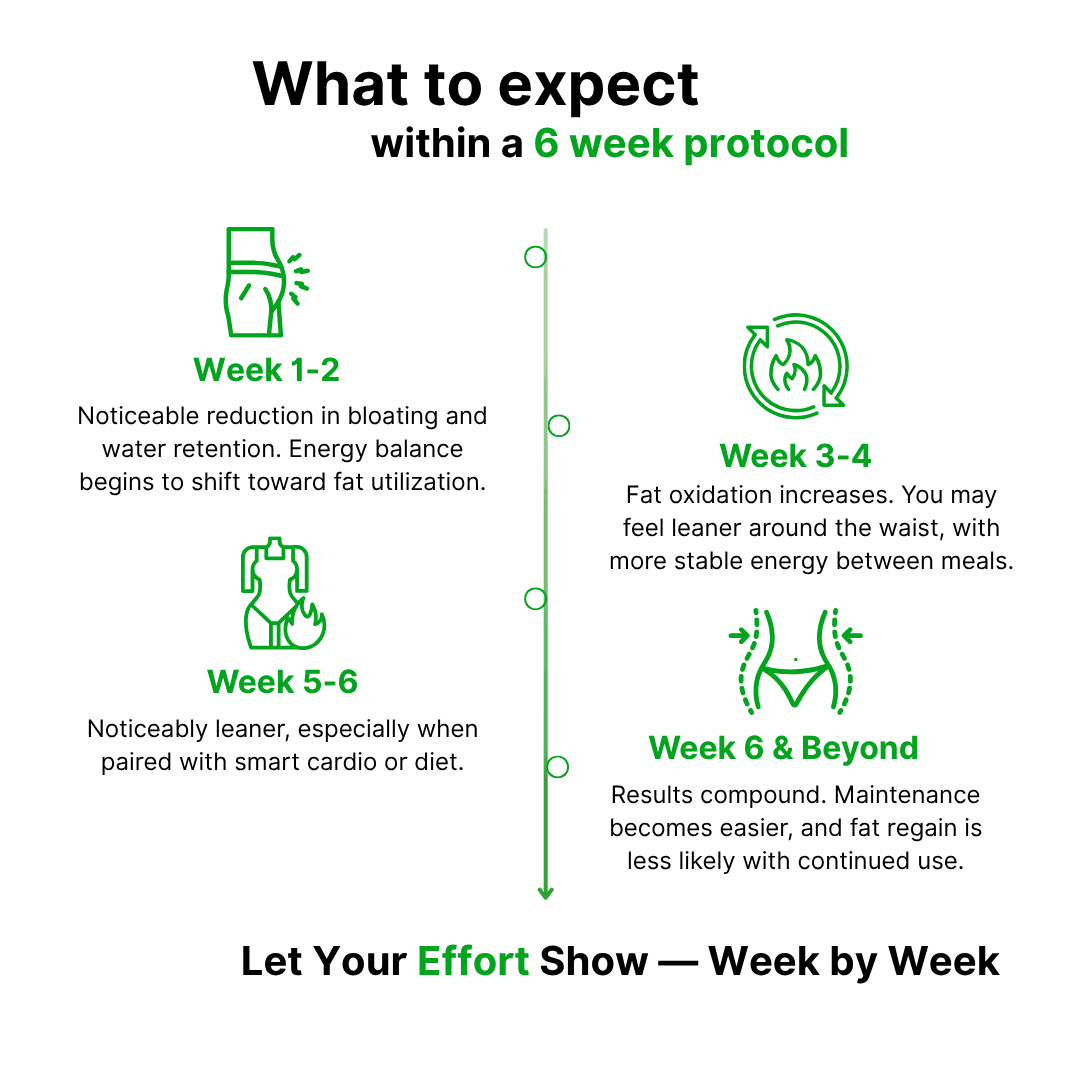 Lipotropin - additional thumbnail 4