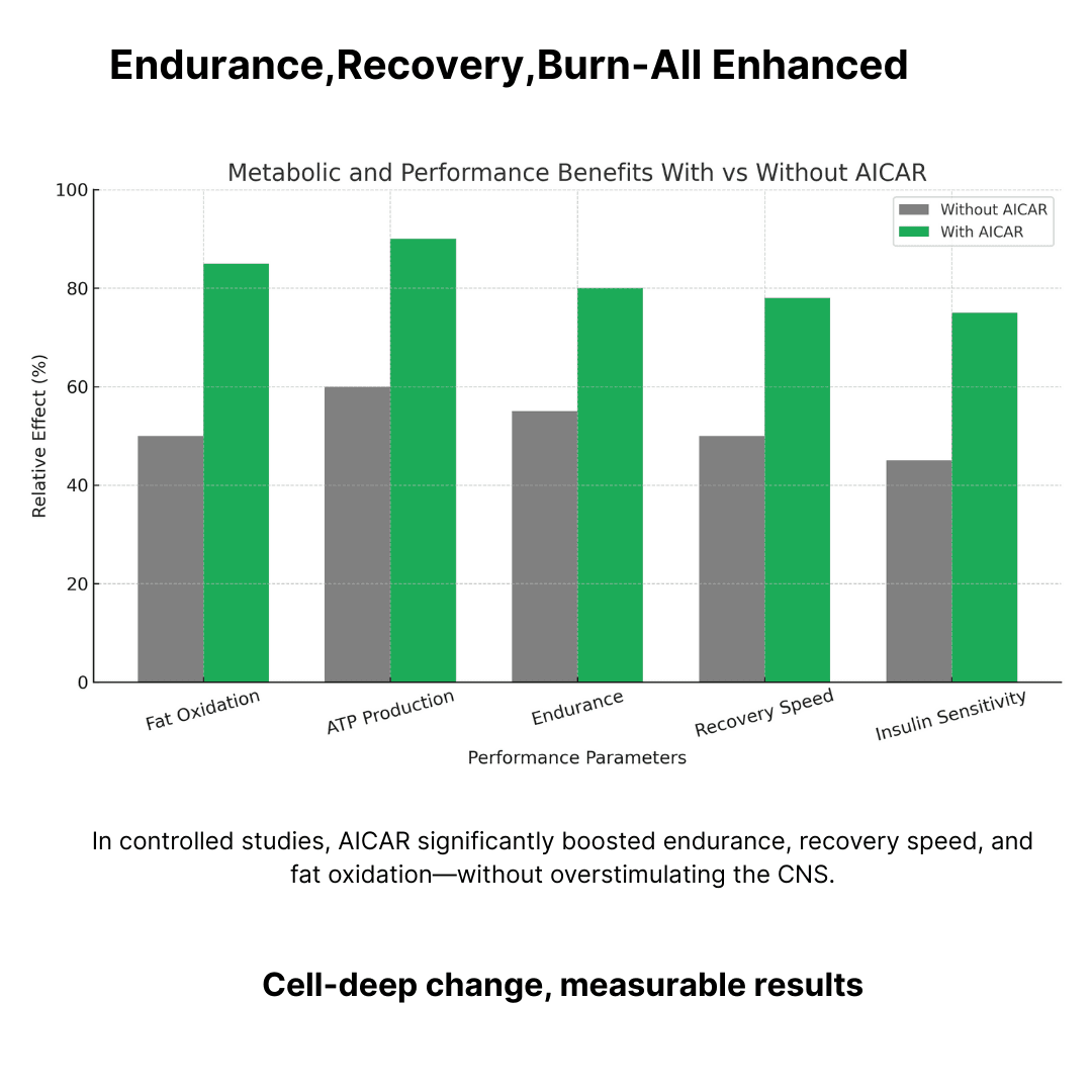 AICAR - additional thumbnail 5